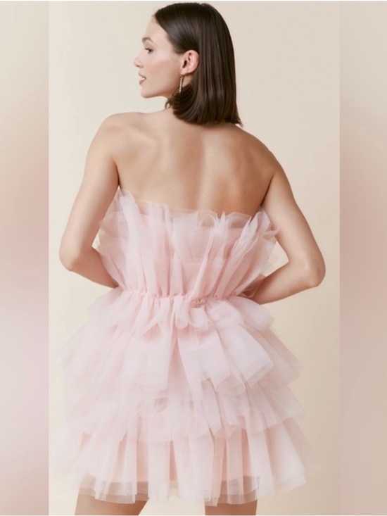 Francesca's Collections Dresses & Skirts - Audrey Parks x Francesca’s Strapless Blush Tulle Tiered Mini Dress